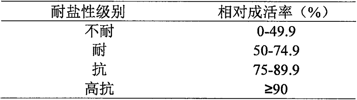 Method for identifying salt tolerance of cotton in seedling period