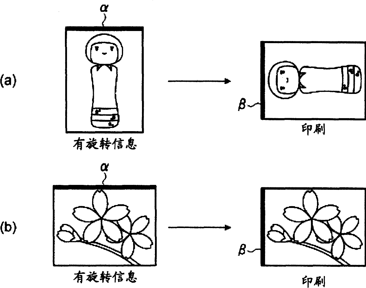 Image processing system, image display apparatus, printer, and printing method