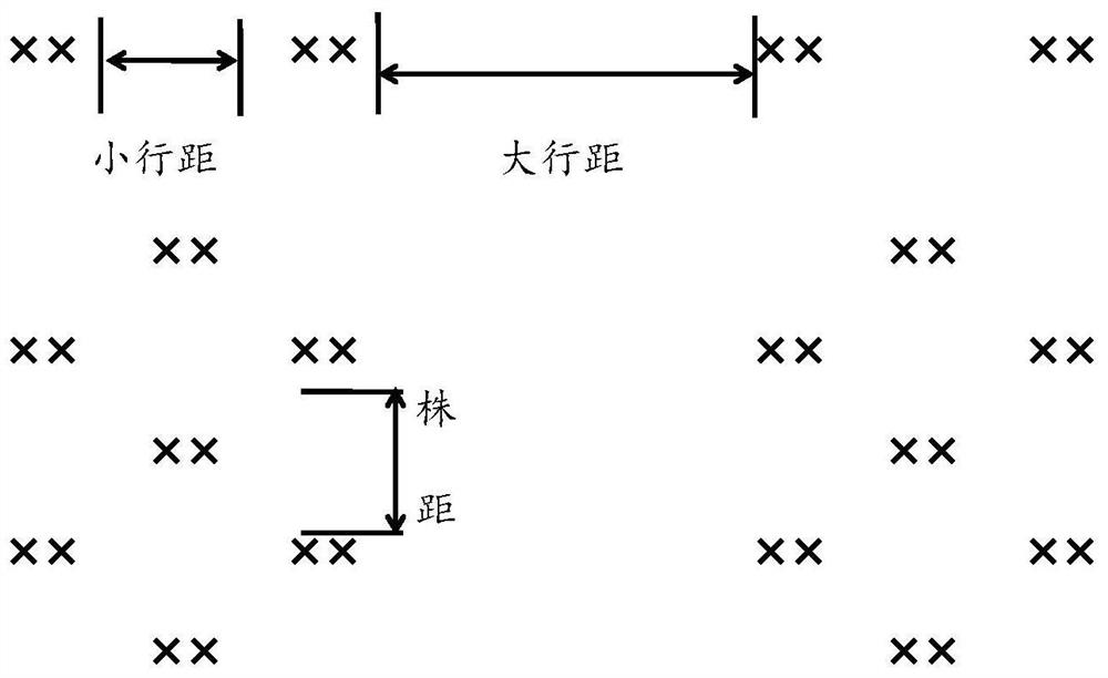 Method for quickly building tea garden in alpine mountainous area