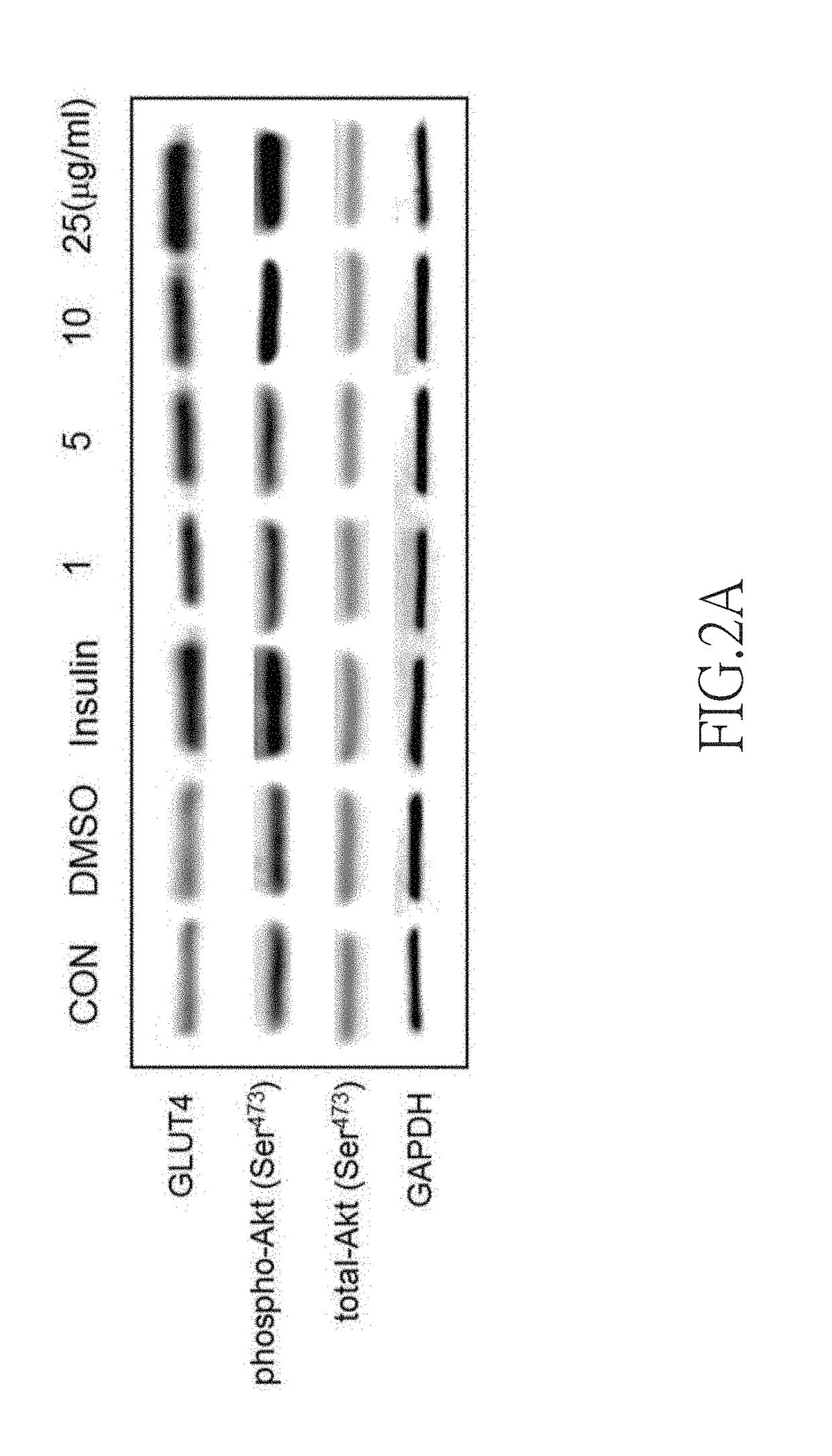 Use of dehydroeburicoic acid from antrodia camphorata in the treatment or prevention of diabetes and hyperlipidemia