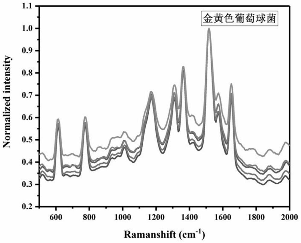 A rapid detection method for bacteria based on surface-enhanced Raman scattering-laser-induced breakdown spectroscopy