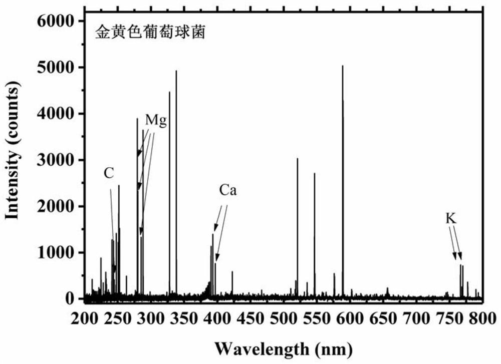 A rapid detection method for bacteria based on surface-enhanced Raman scattering-laser-induced breakdown spectroscopy