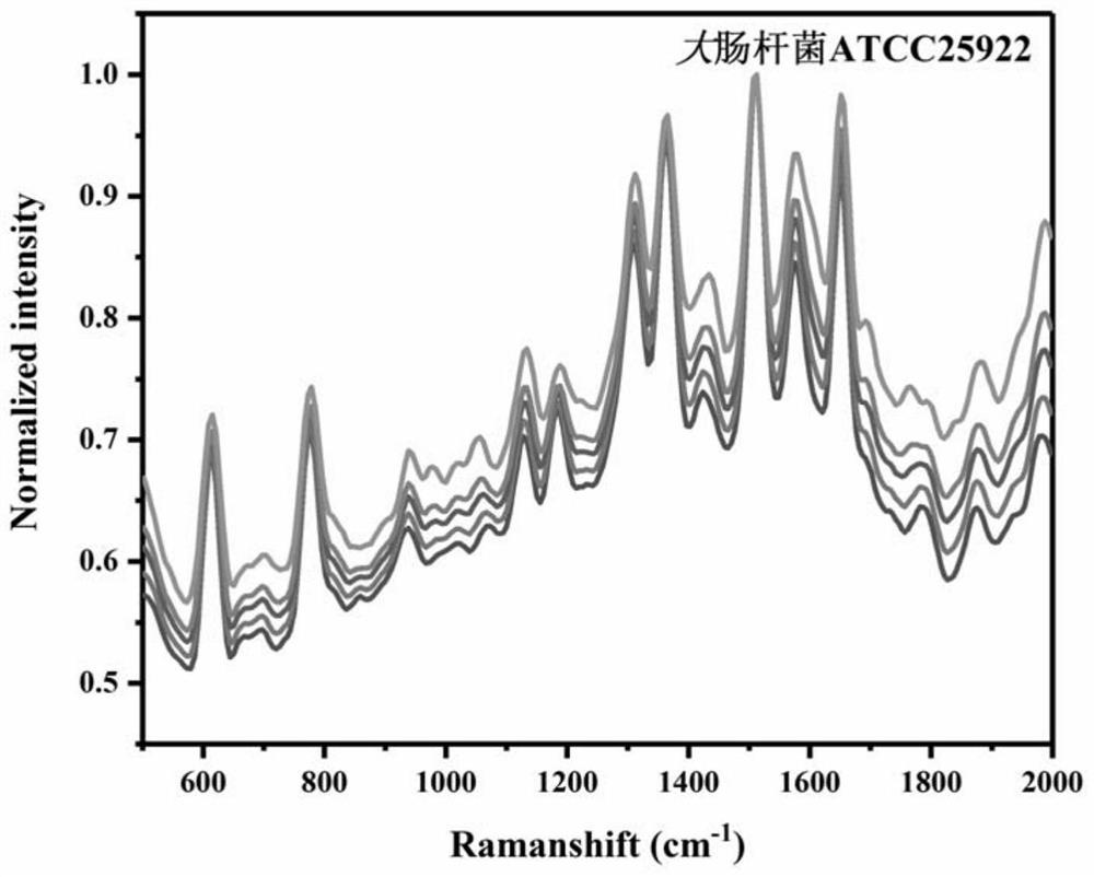 A rapid detection method for bacteria based on surface-enhanced Raman scattering-laser-induced breakdown spectroscopy