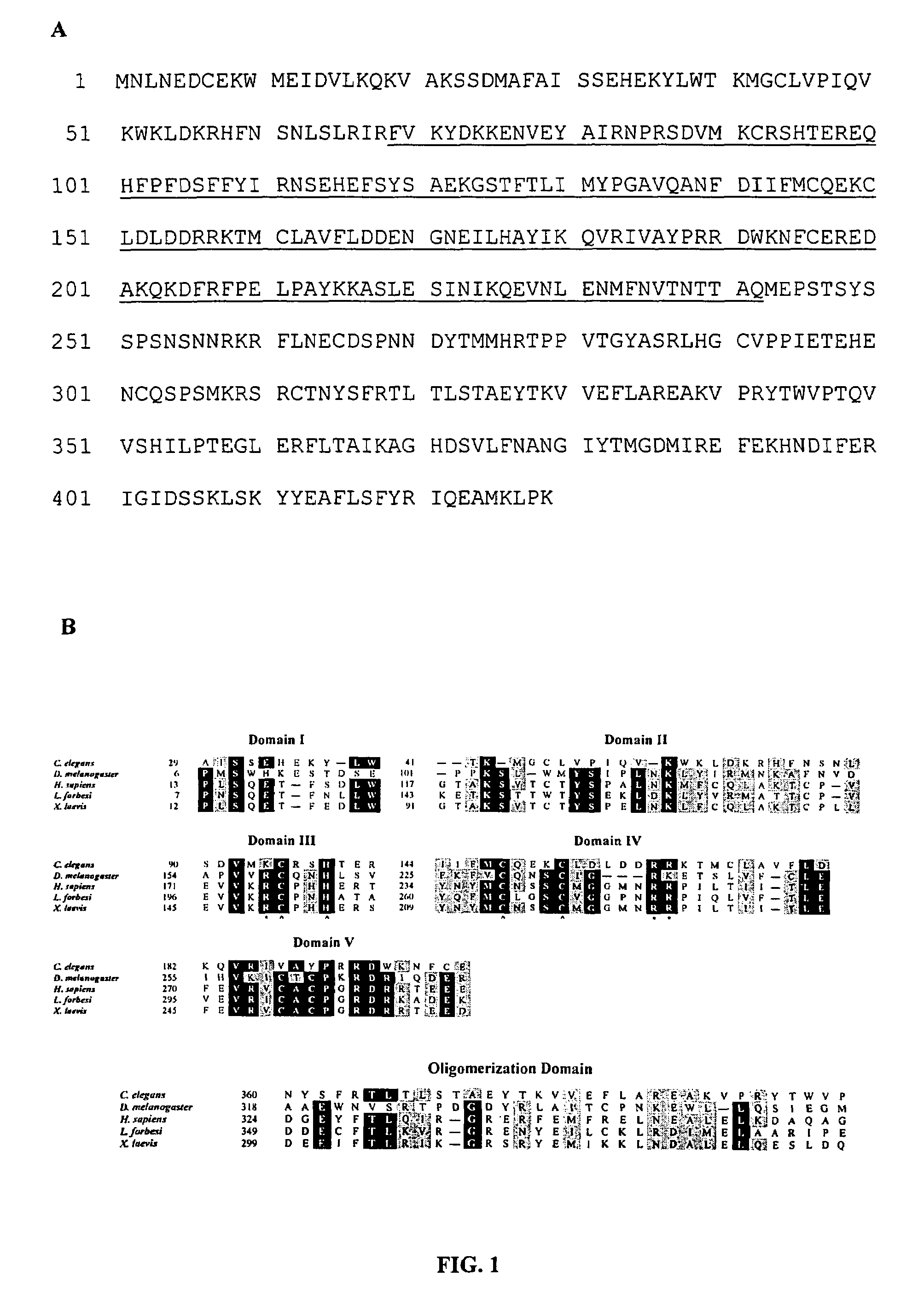 Methods for identifying novel therapeutics and diagnostics in the p53 pathway