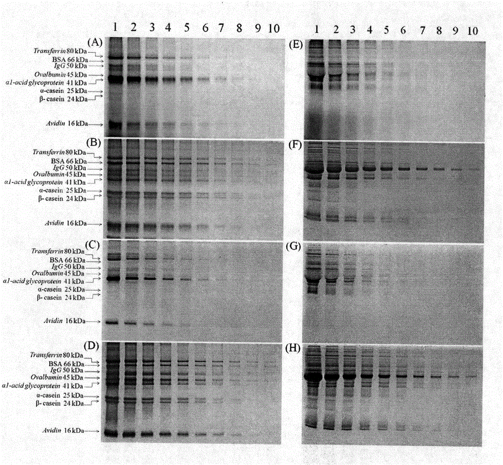 Applications of dansylhydrazine and derivative thereof in specific fluorescent pre-dyeing detection method of glycoproteins