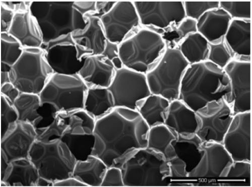 Foaming agent containing orthoformic acid alcohol amine salt and propanolamine salt and application to preparation of polyurethane refrigerator foam material