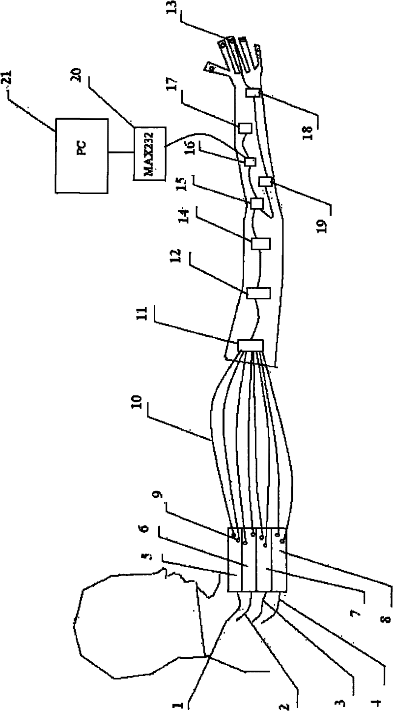 Myoelectric bionic arm system based on nerve redistribution technology