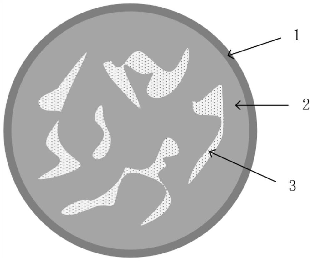 Carbon-silicon negative electrode material and preparation method thereof