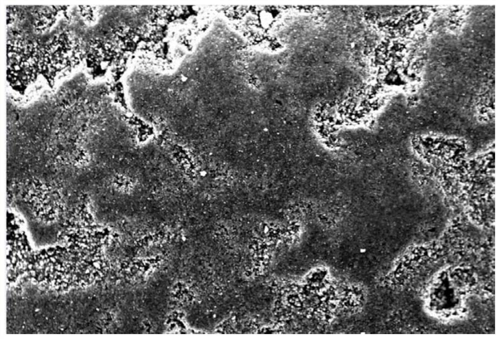 Carbon-silicon negative electrode material and preparation method thereof