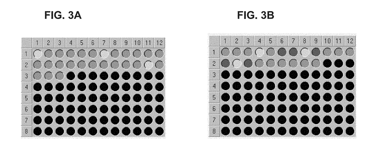 High Throughput Methods for Screening Chemical Reactions Using Reagent-Coated Bulking Agents