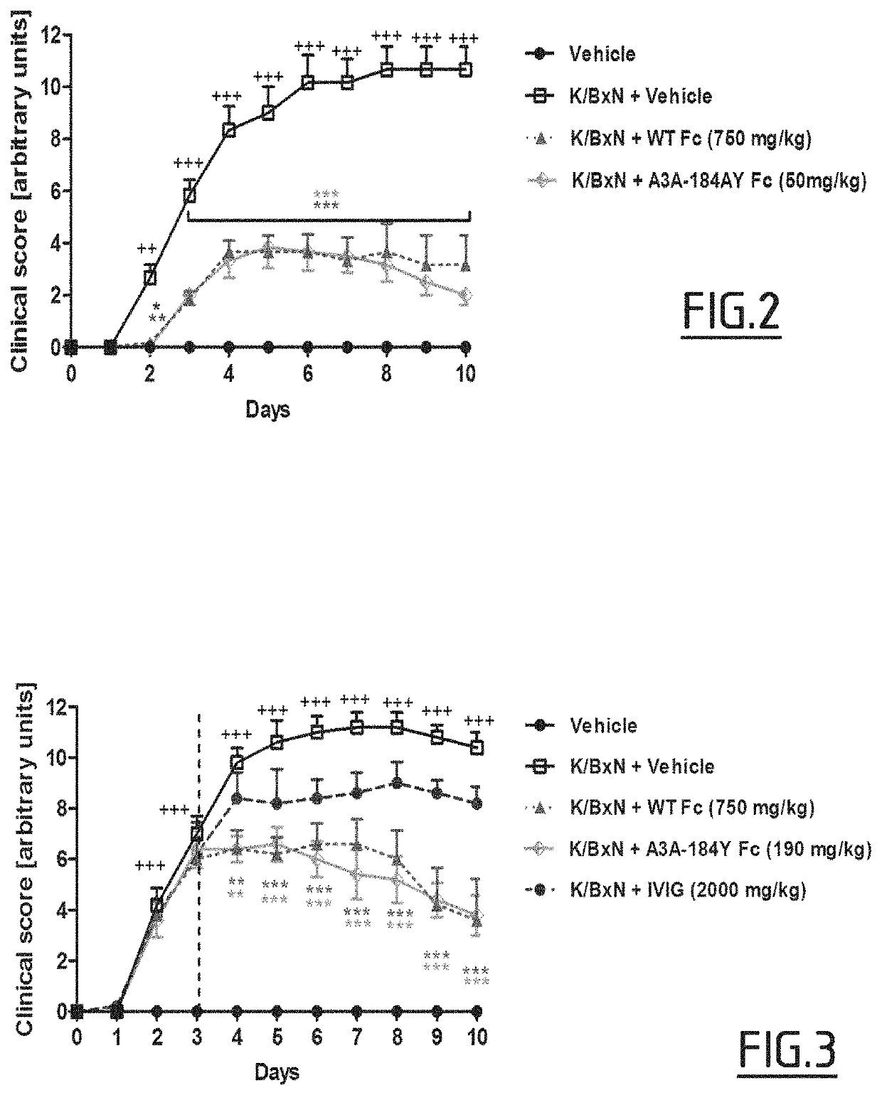 Variants with fc fragment having an increased affinity for fcrn and an increased affinity for at least one receptor of the fc fragment