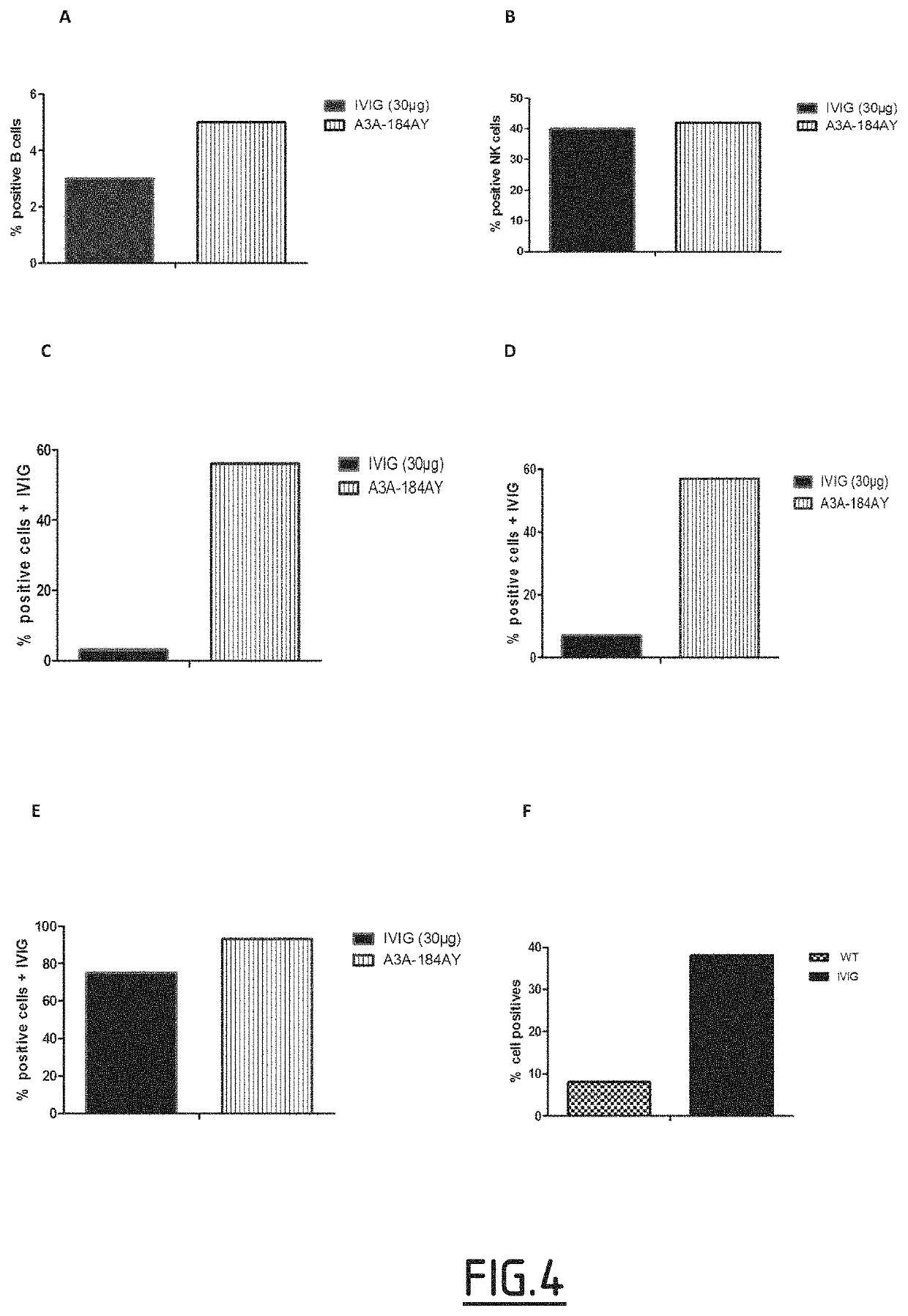 Variants with fc fragment having an increased affinity for fcrn and an increased affinity for at least one receptor of the fc fragment