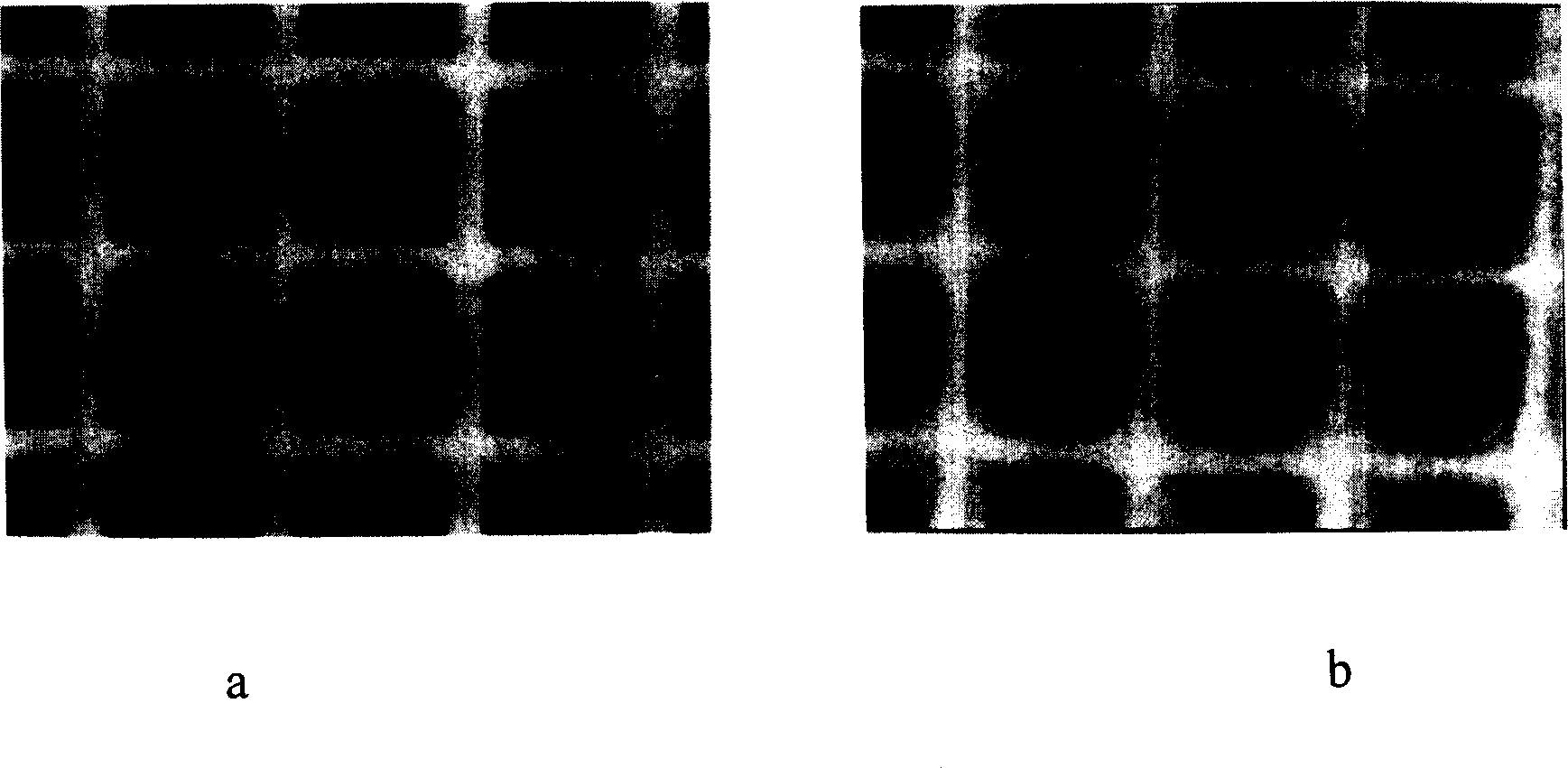 Method and equipment for coating slurry layer on cellular carrier of ceramics