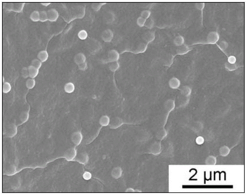 Bioactive glass-modified gelatin composite hydrogel as well as preparation method thereof