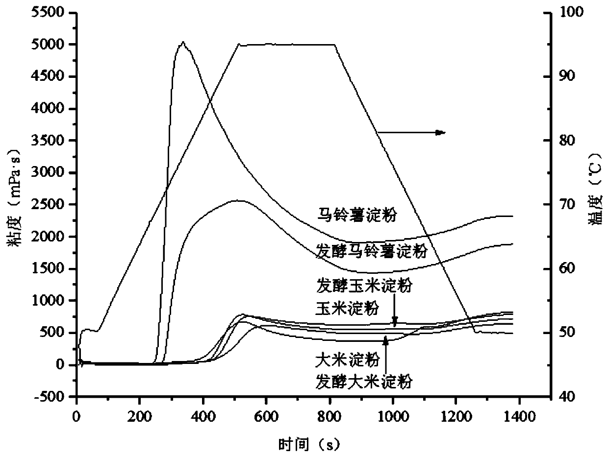 Production technology and application of fermented tapioca starch for baking