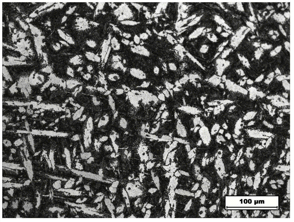 Zirconium micro-alloyed nickel-aluminum bronze