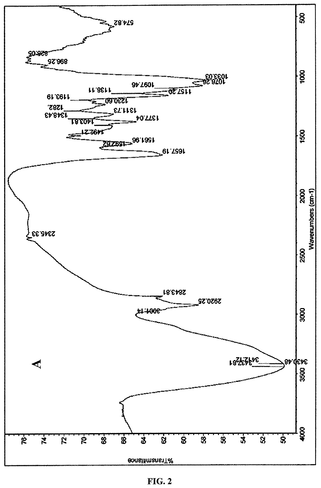 Chitin and chitosan producing methods