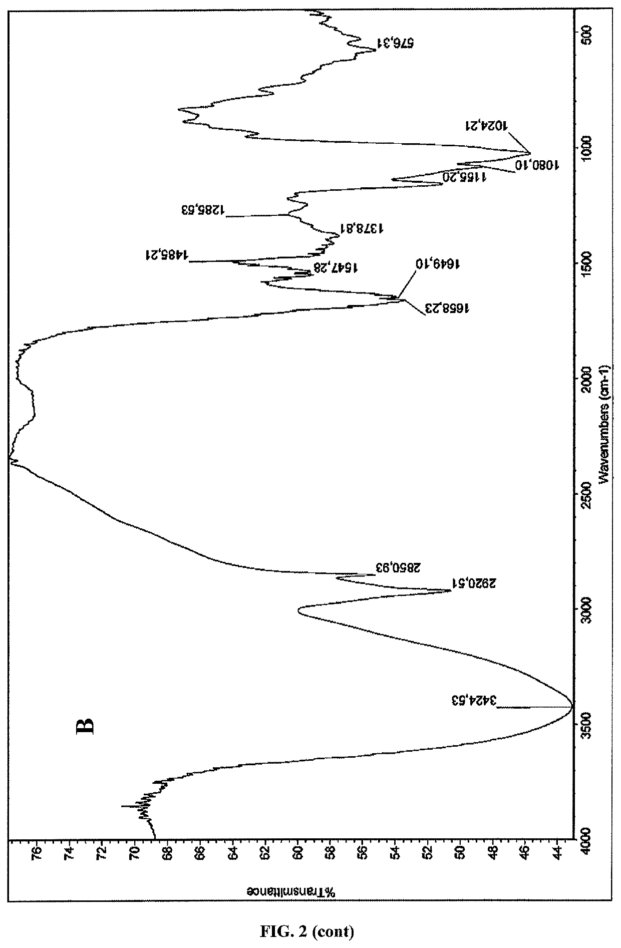 Chitin and chitosan producing methods