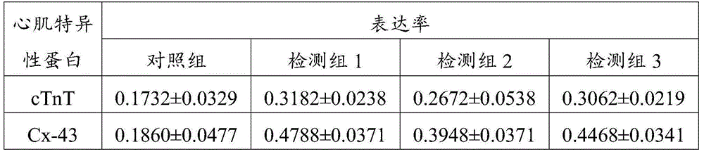 Inducing method and inducing liquid of mesenchymal stem cells