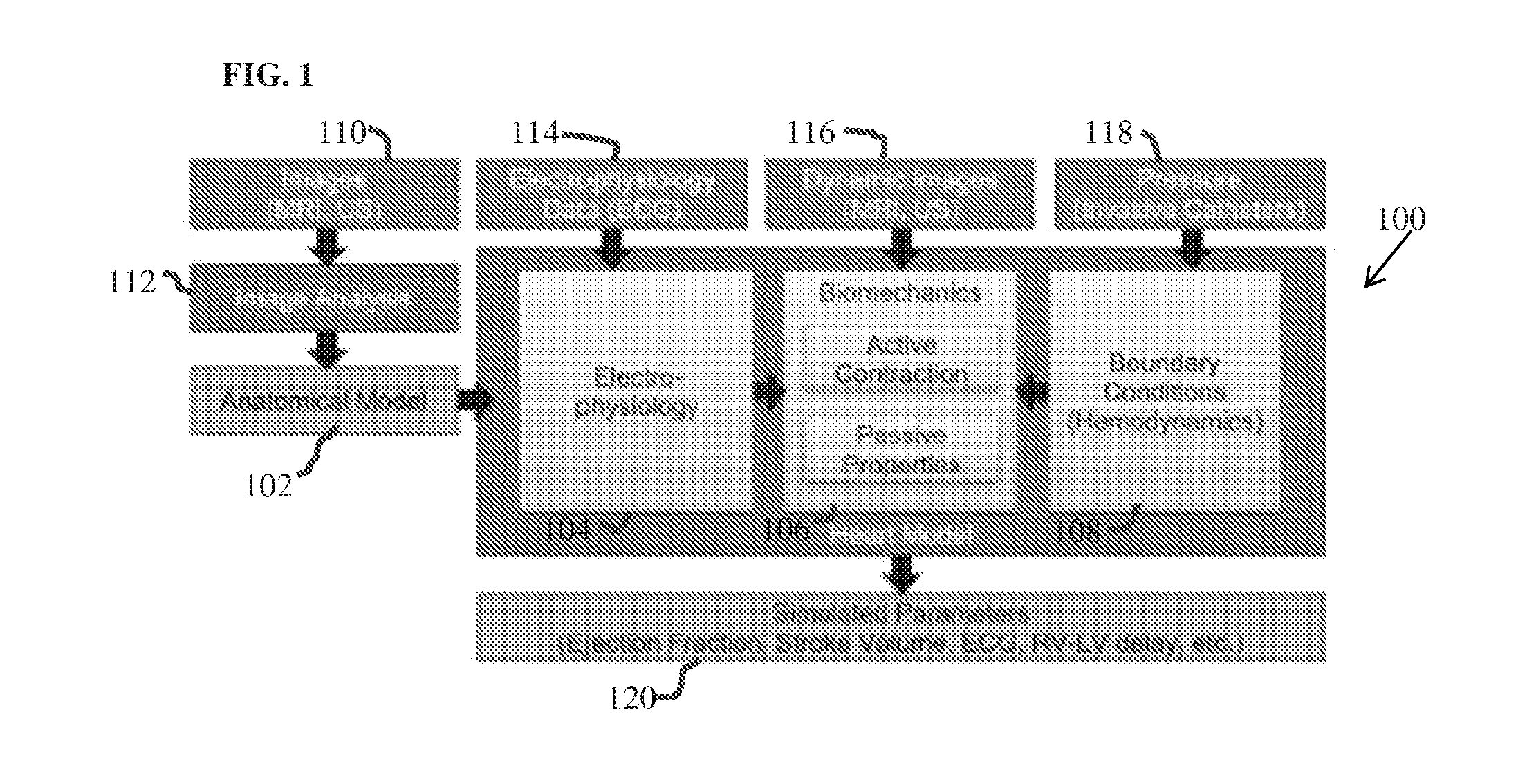 Systems and methods for estimating physiological heart measurements from medical images and clinical data