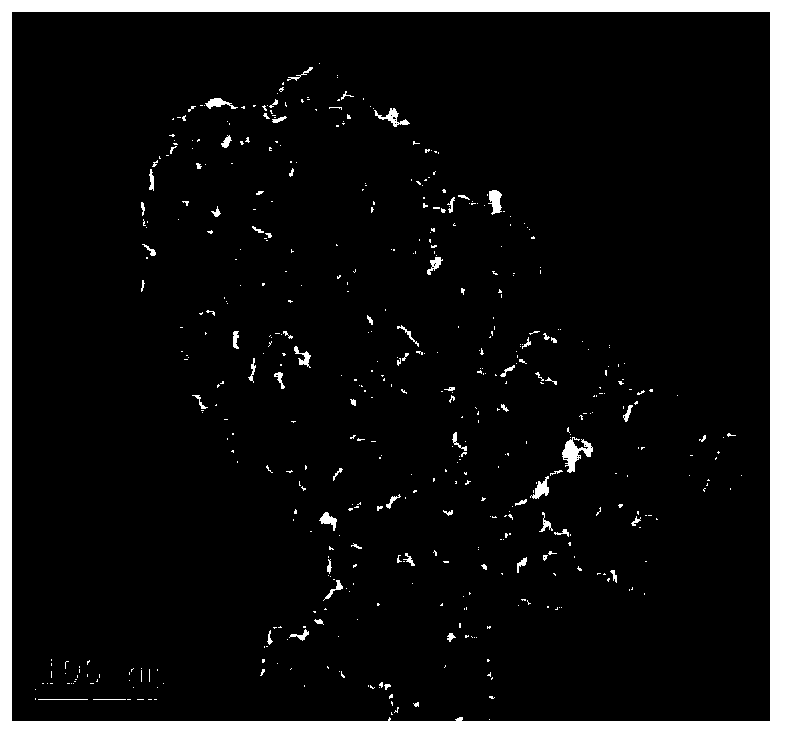 Preparation method of PET / magnetic Fe3O4 functional nanocomposite material