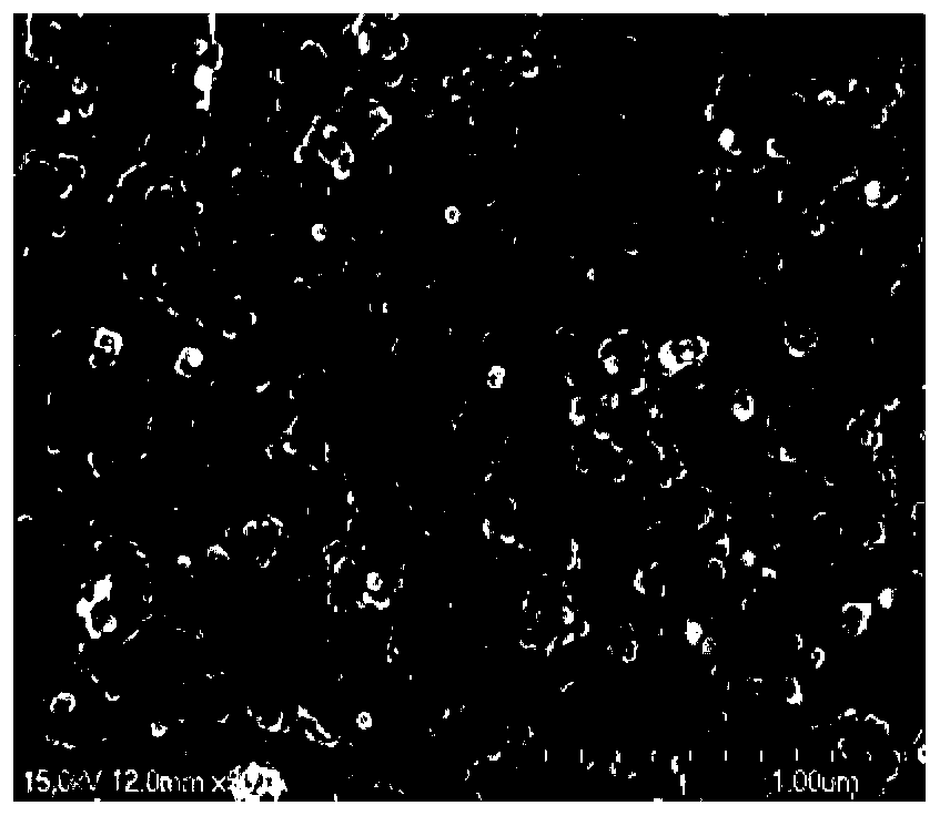 Preparation method of PET / magnetic Fe3O4 functional nanocomposite material