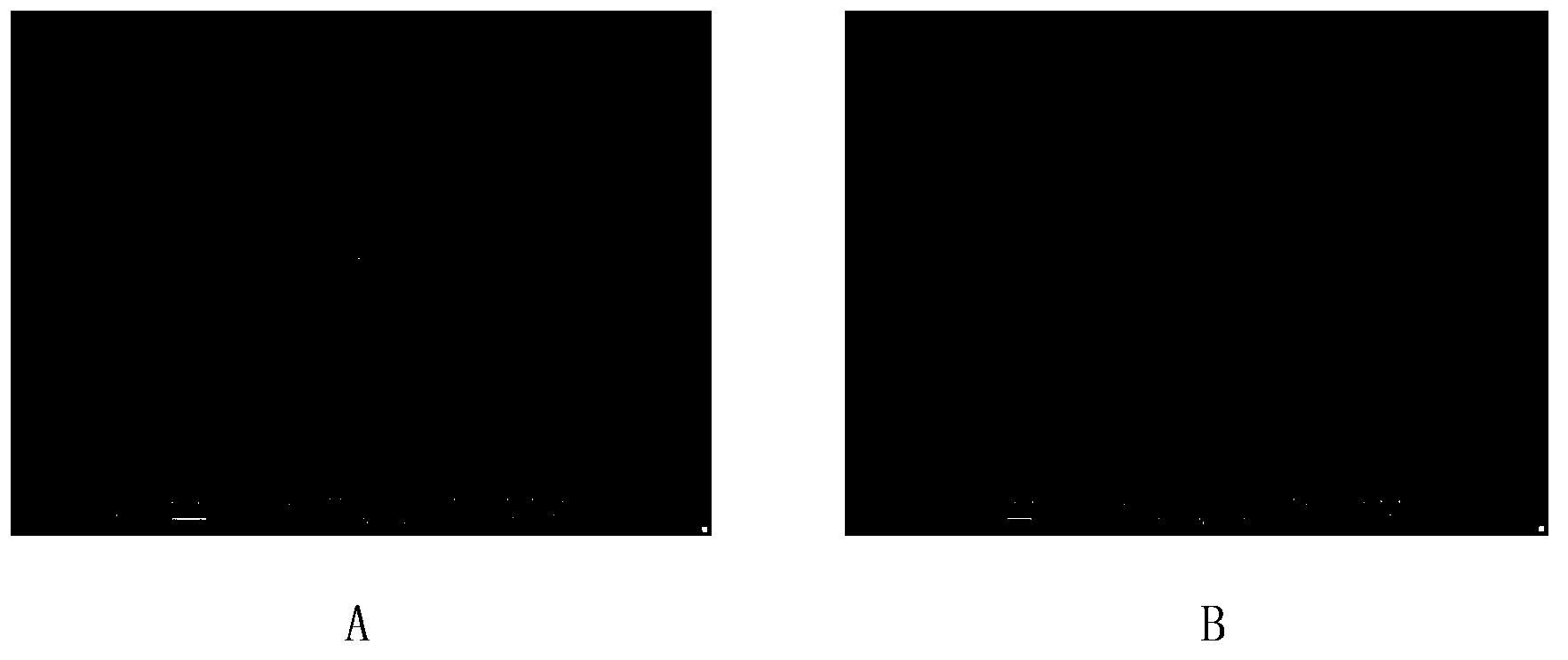 Preparation method of PET / magnetic Fe3O4 functional nanocomposite material