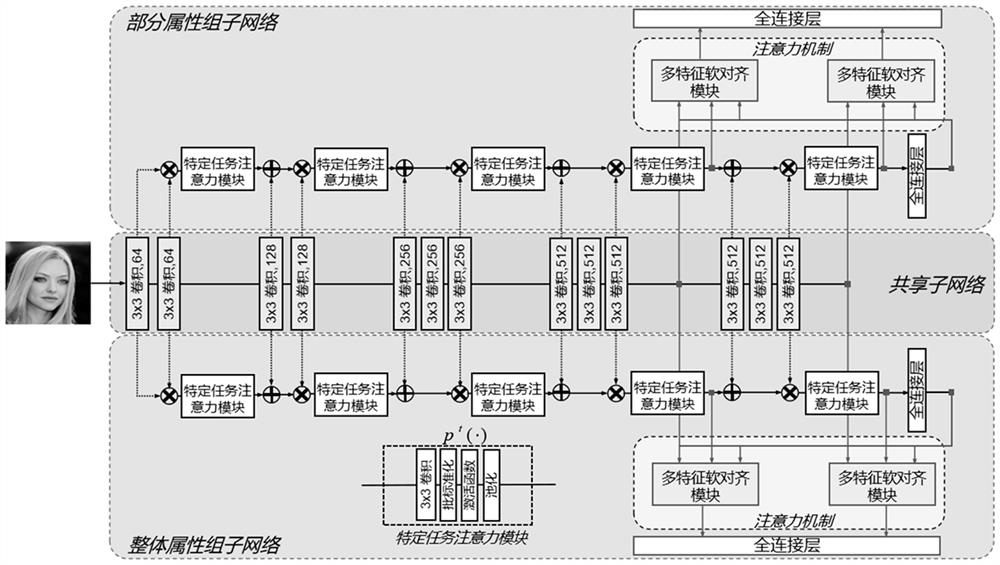 Face attribute recognition method and system based on parallel shared multi-task network