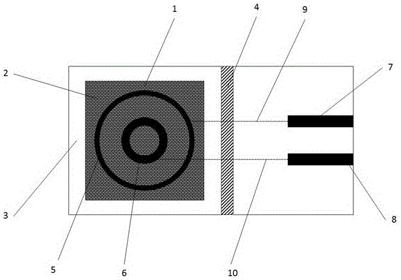 Sensor for measuring salt content on surface of solid