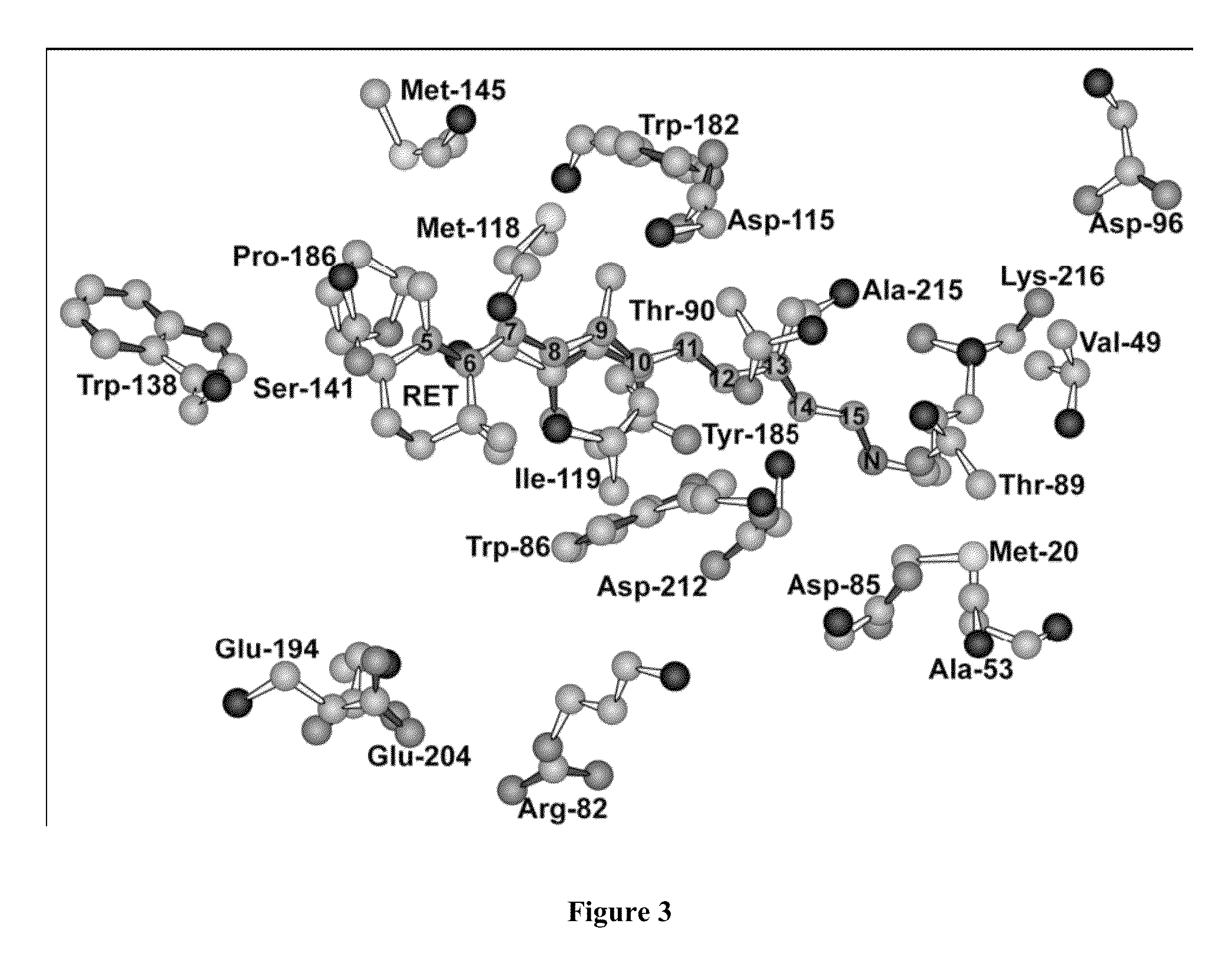 Bacteriorhodopsin protein variants and methods of use for long term data storage