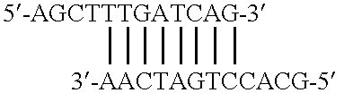 Method of using eukaryotic expression vectors comprising the BK virus enhancer