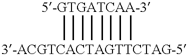 Method of using eukaryotic expression vectors comprising the BK virus enhancer