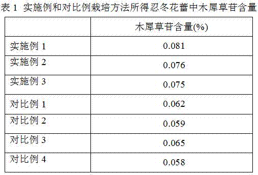 Method for promoting Luteolin accumulation in honeysuckle bud by using fungi