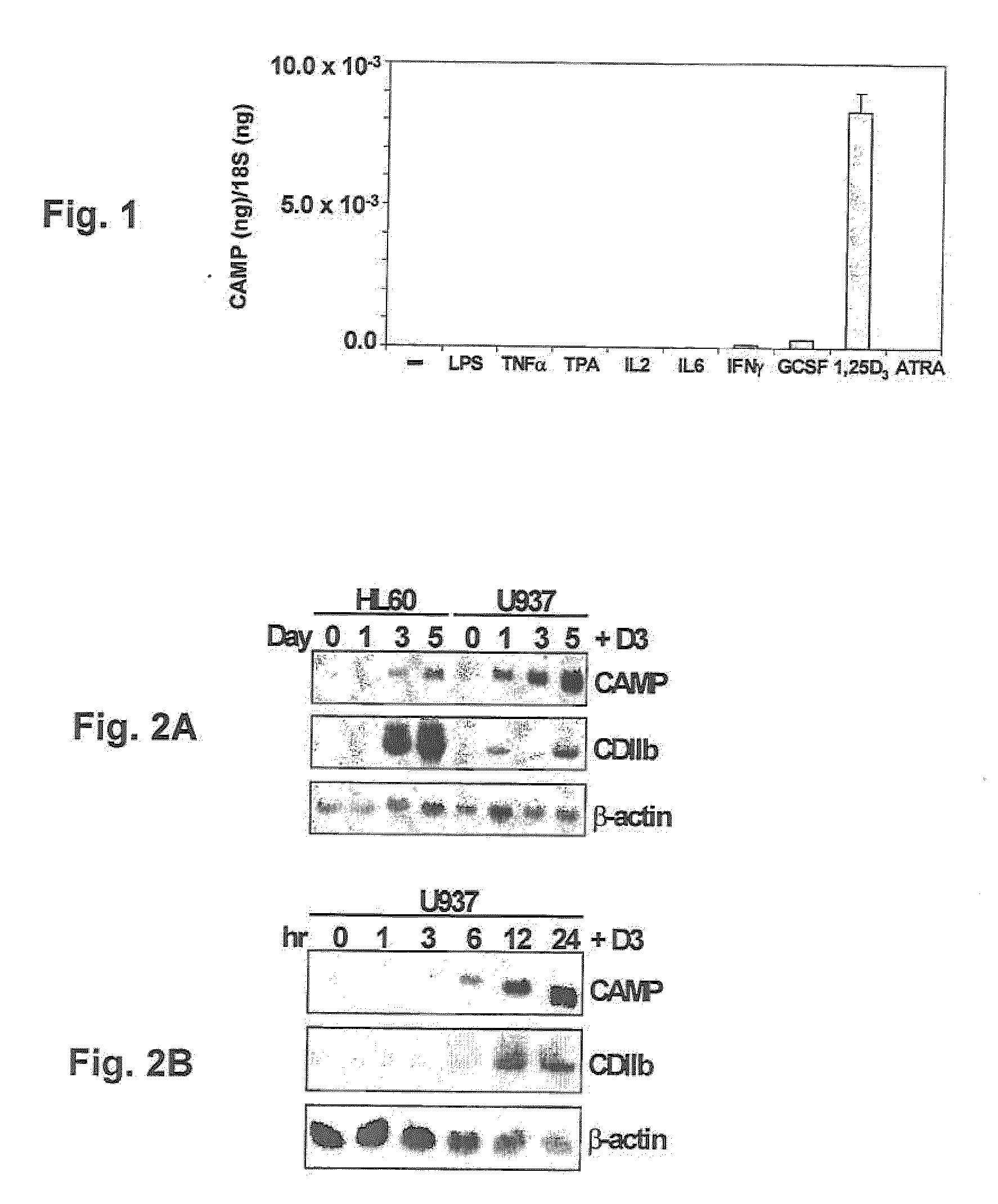 Induction of innate immunity by vitamin d3 and its analogs