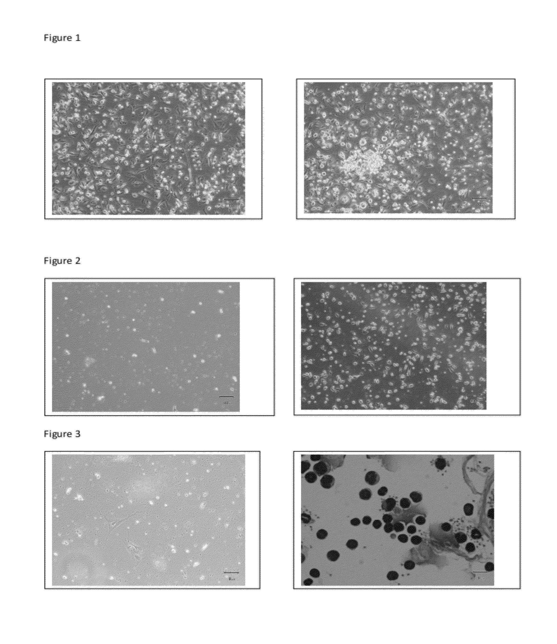 Compositions and methods for mobilization of stem cells