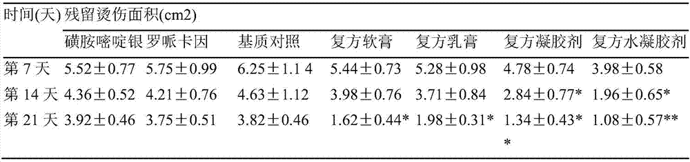 Medicinal preparation for promoting healing of body surface injury and method for preparing medicinal preparation