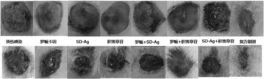 Medicinal preparation for promoting healing of body surface injury and method for preparing medicinal preparation