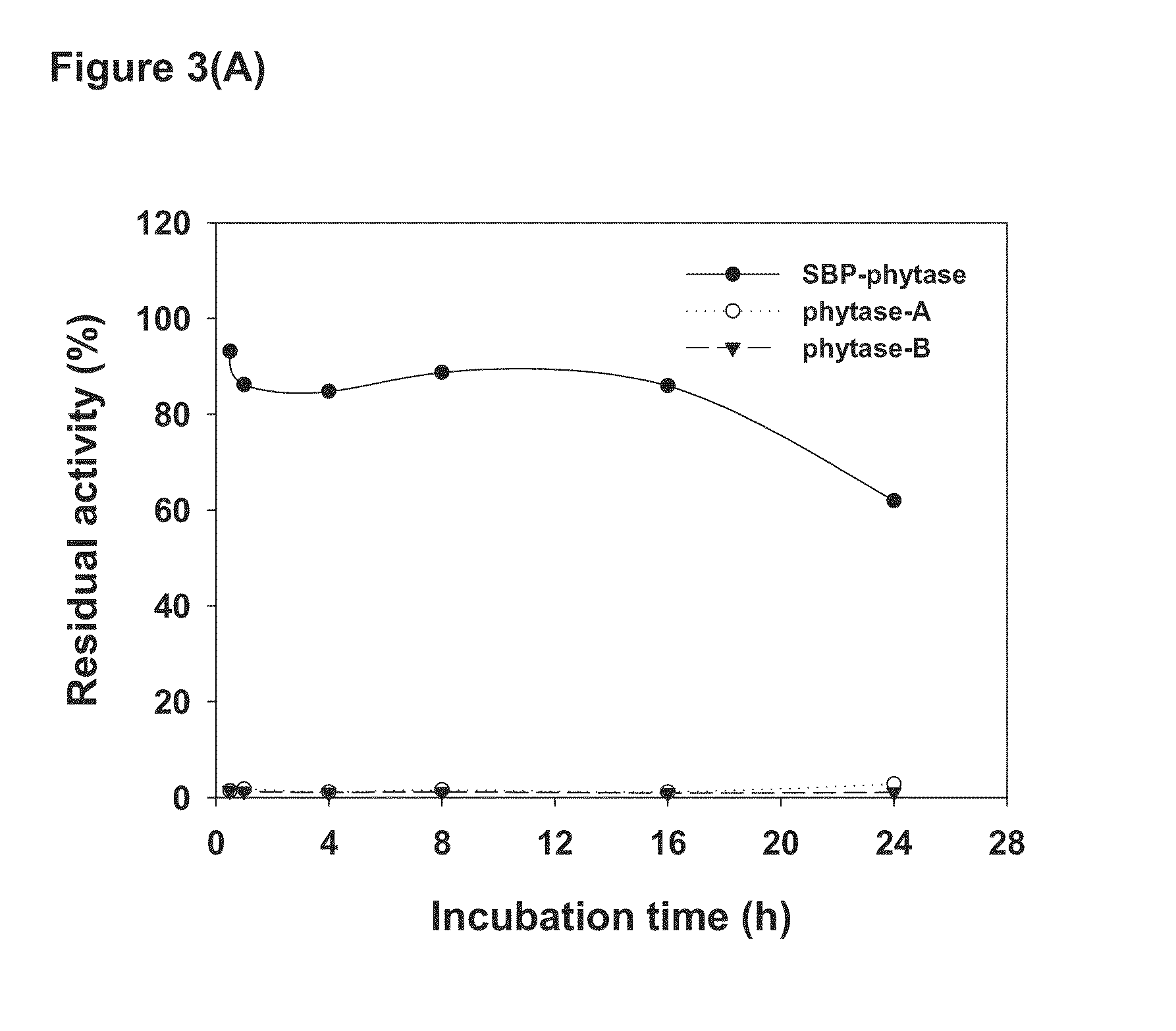 Method for increasing thermal stability and retaining activity of a protein