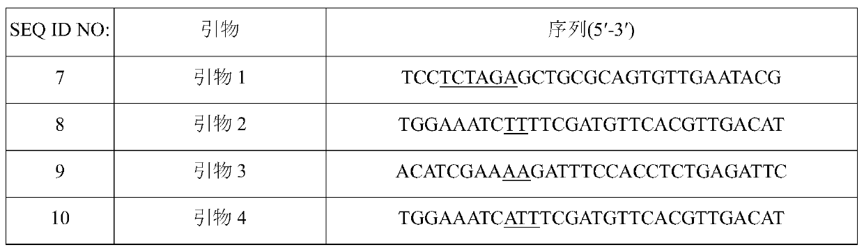 Novel aspartokinase mutant and method for production of l-amino acid using same