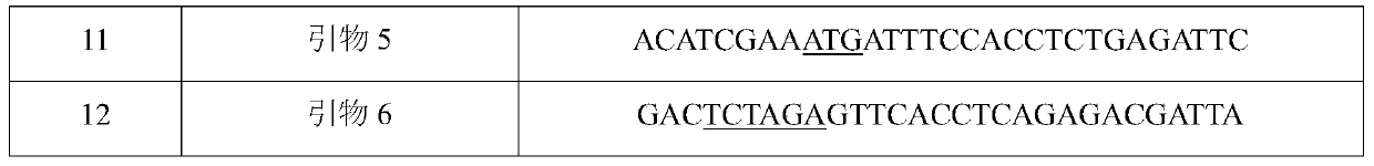 Novel aspartokinase mutant and method for production of l-amino acid using same