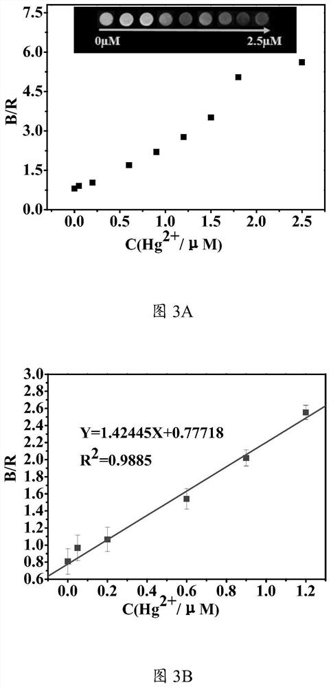 Ratio fluorescent probe, fluorescent paper chip and detection method for detecting mercury ions