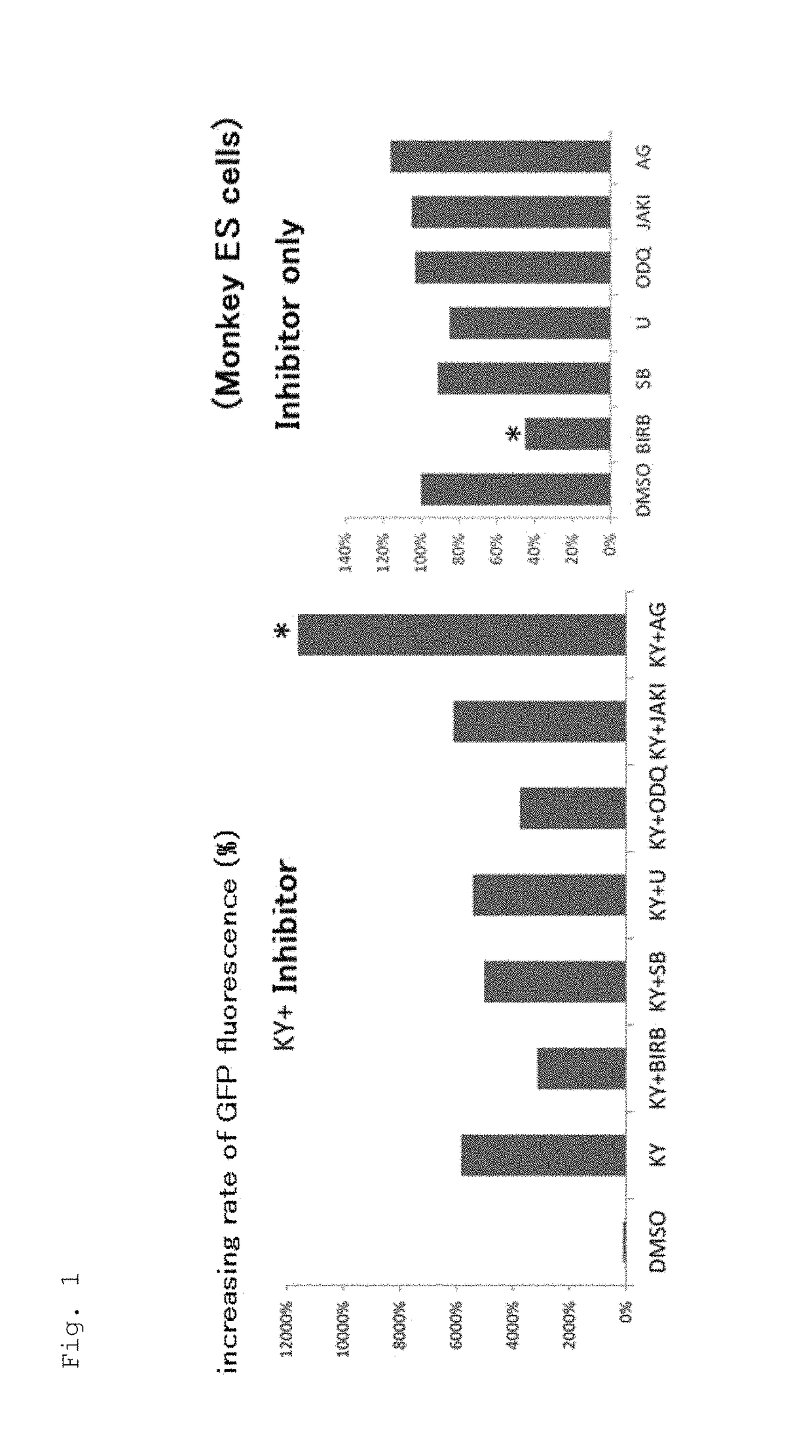 Composition for promoting cardiac differentiation of pluripotent stem cell comprising EGFR inhibitor