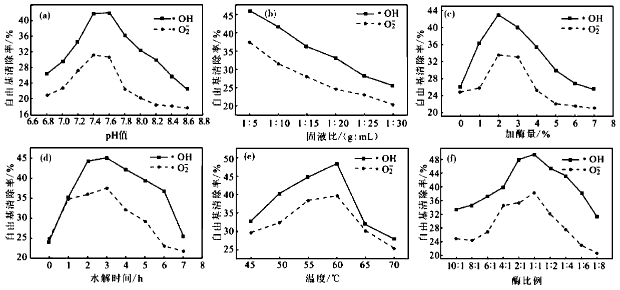 Method of preparing active polypeptides from semen euryales protein powder, active polypeptides and application