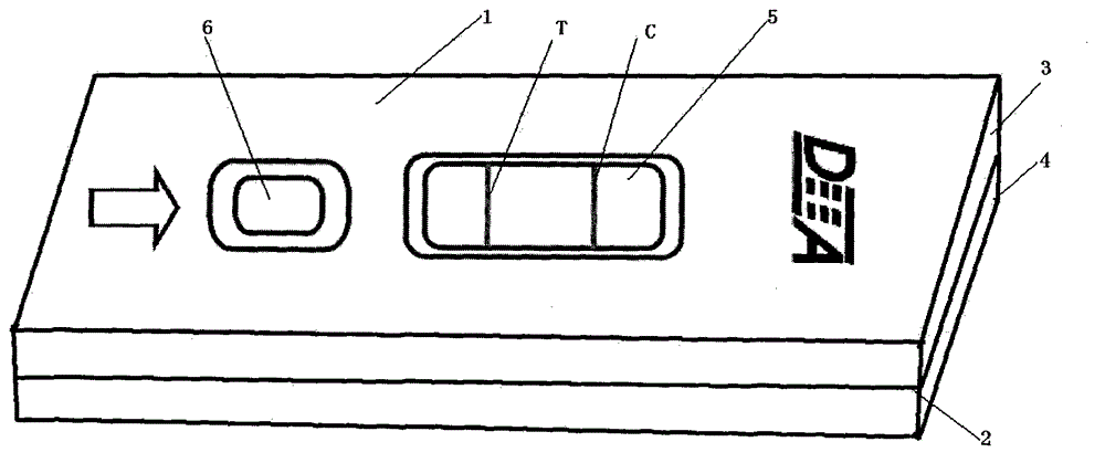 Test paper card for testing Brucella antibody through competition method