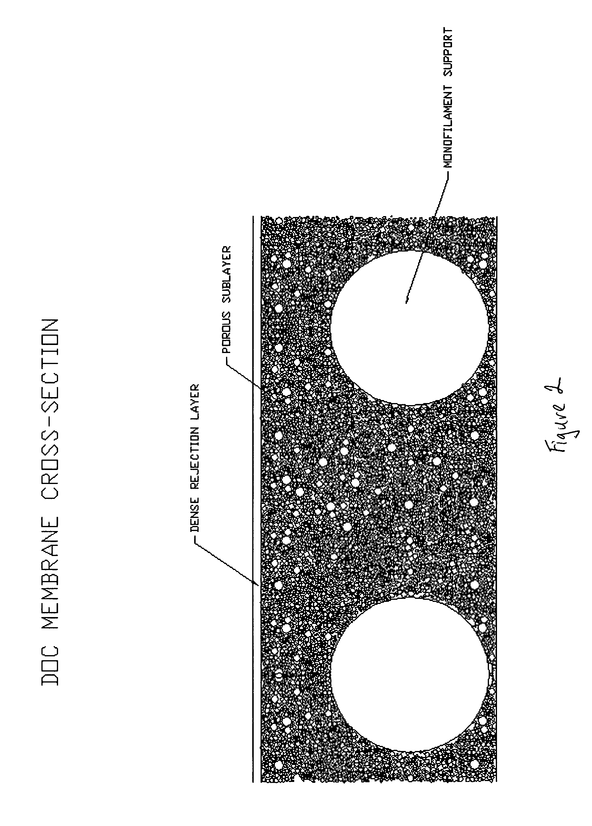 Asymmetric forward osmosis membranes