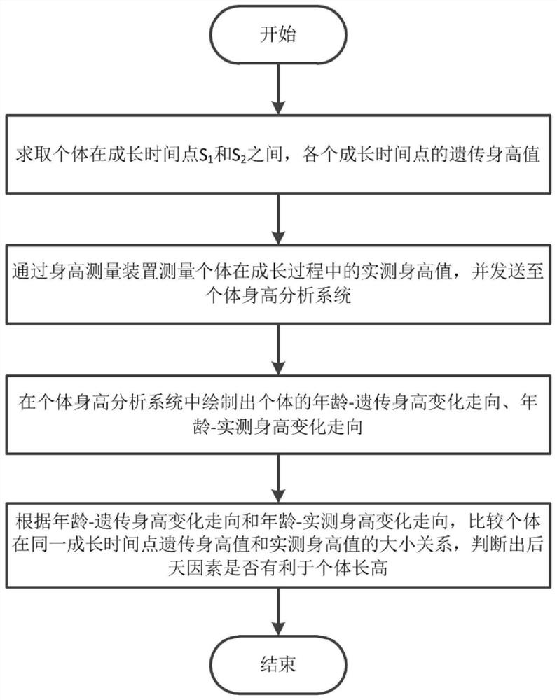 Individual height measurement and analysis method, system, readable storage medium and terminal