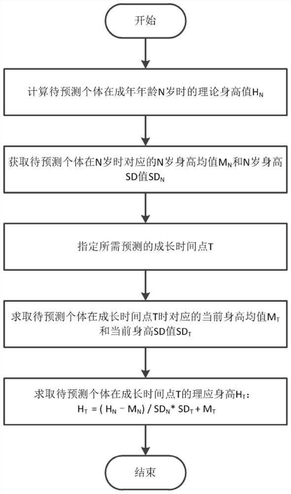 Individual height measurement and analysis method, system, readable storage medium and terminal