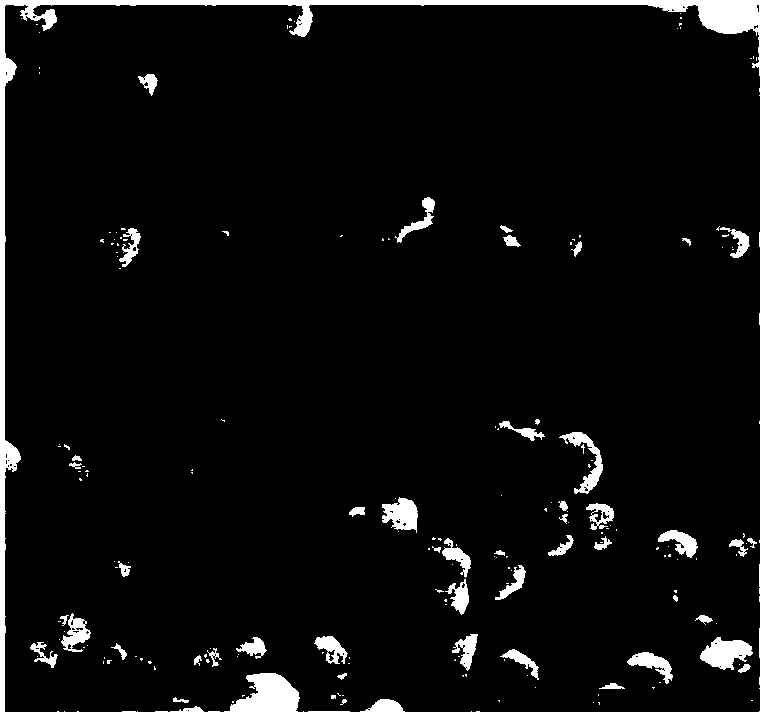 Precious metal aerogel and preparation method thereof