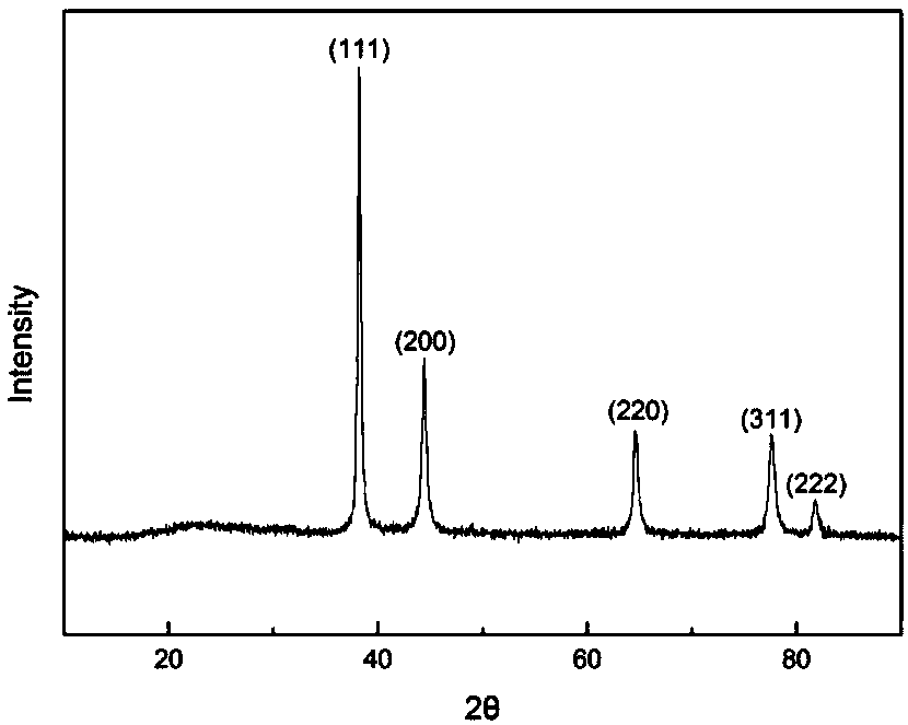 Precious metal aerogel and preparation method thereof