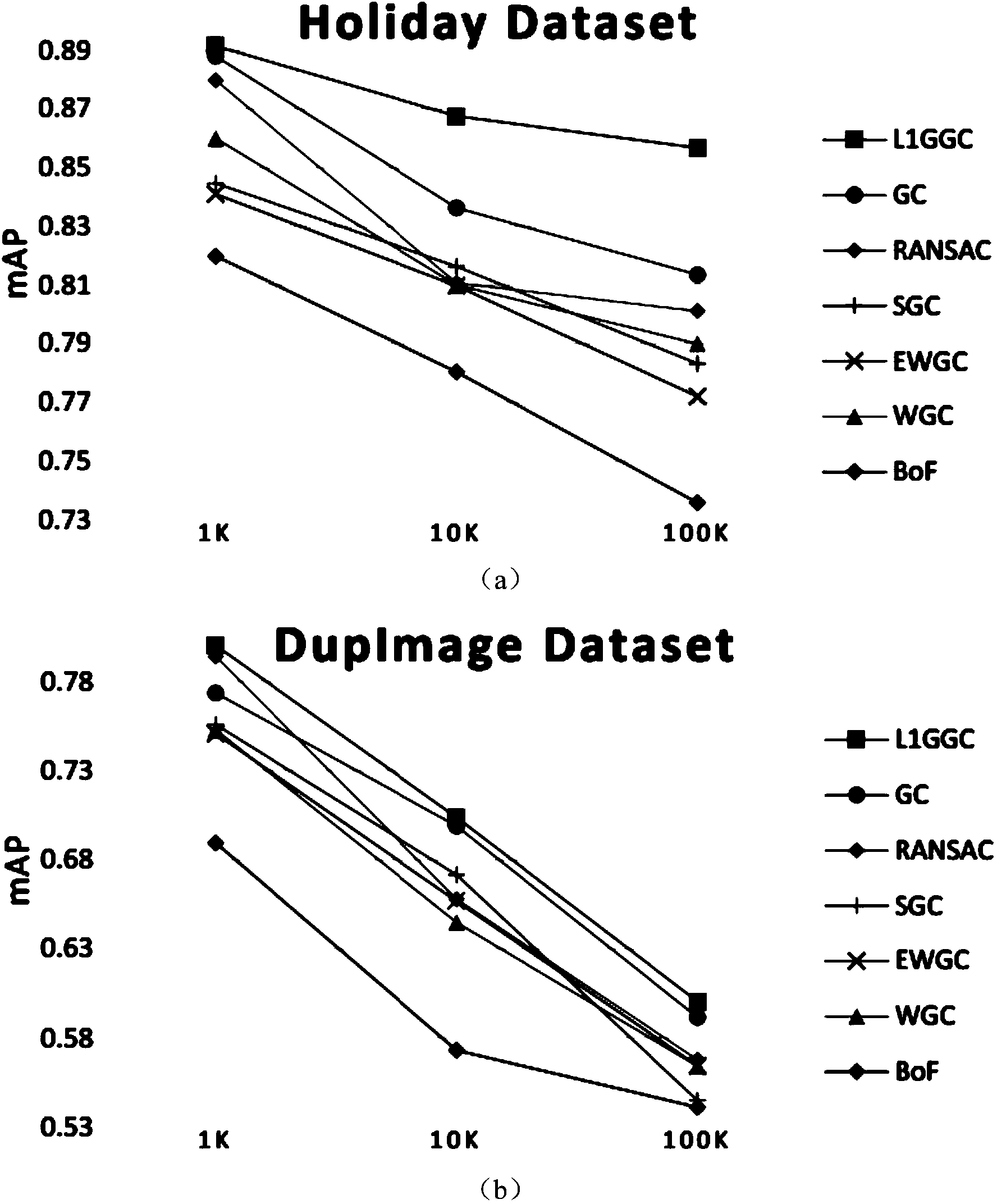 L1 norm total geometrical consistency check-based wrong matching detection method